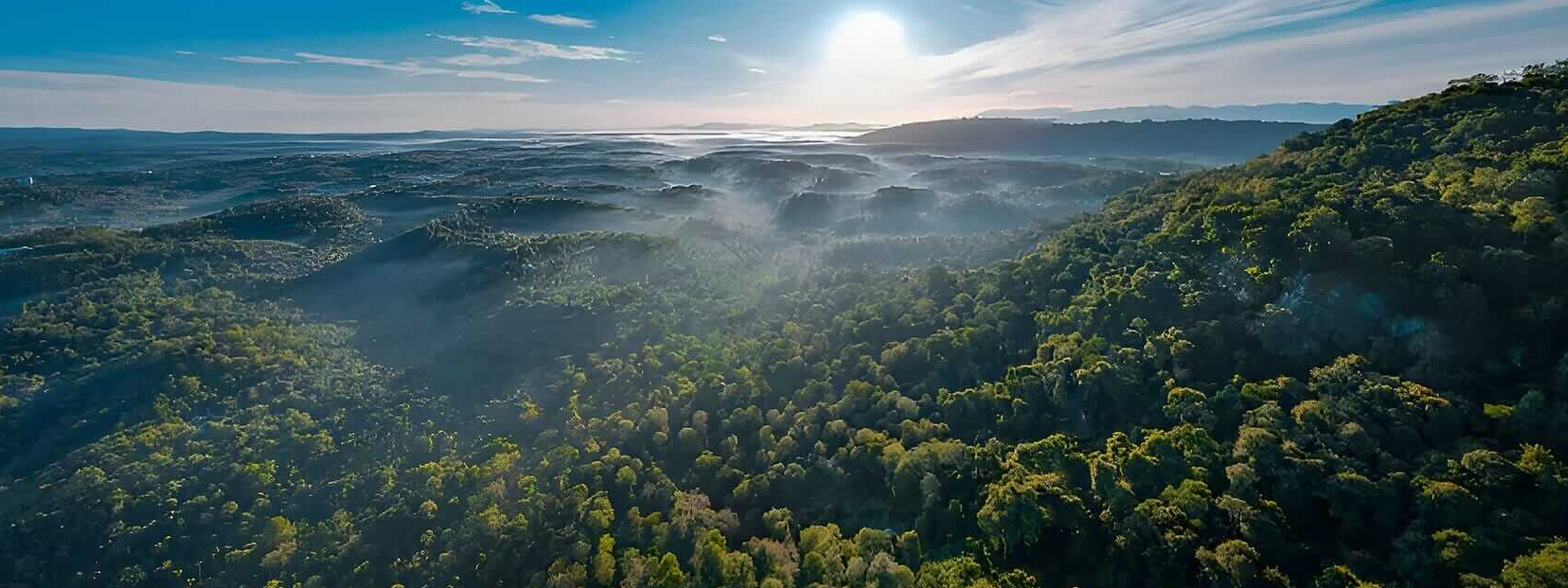Tranquil - A Plantation Hideaway