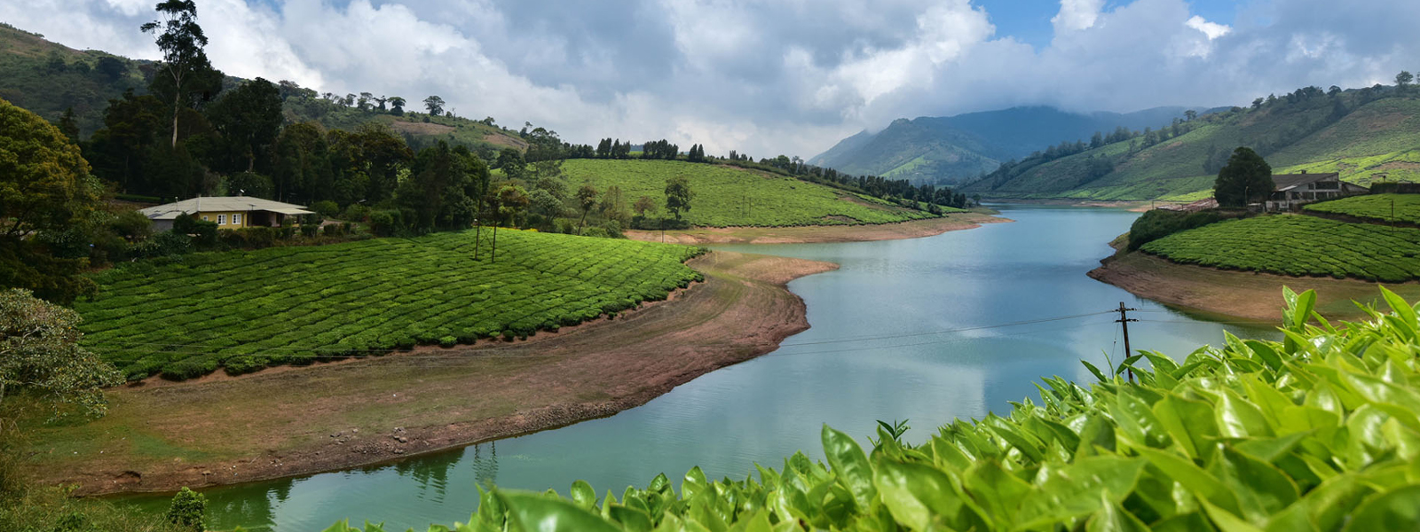 Valparai Tea Estate