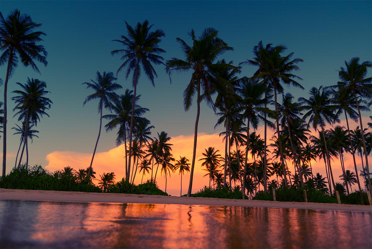 2025 Best Summer Destinations